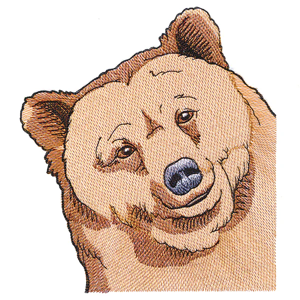 Happy Peeking Bear