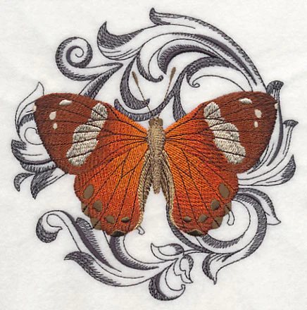 Harlequin Metalmark with Baroque Background - Image 3