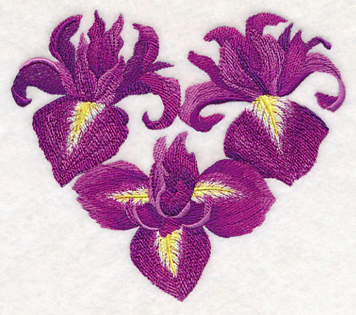 Heart of Irises - Image 2