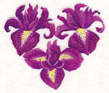 Heart of Irises - Image 3