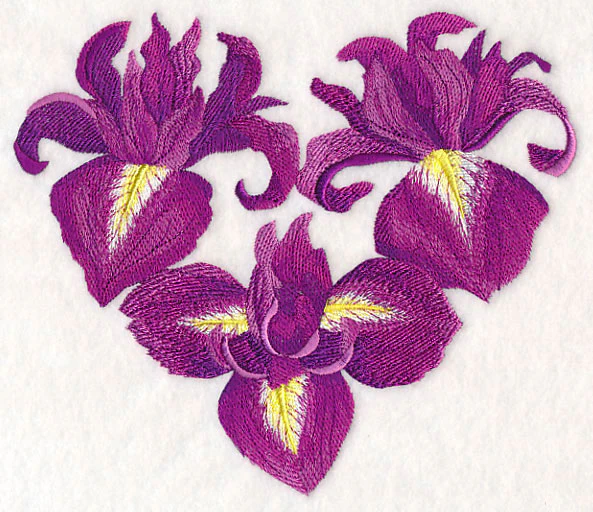 Heart of Irises - Image 4