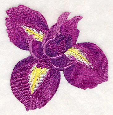 Heart of Irises Single - Image 2