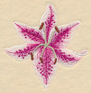 Heart of Lilies Single - Image 3