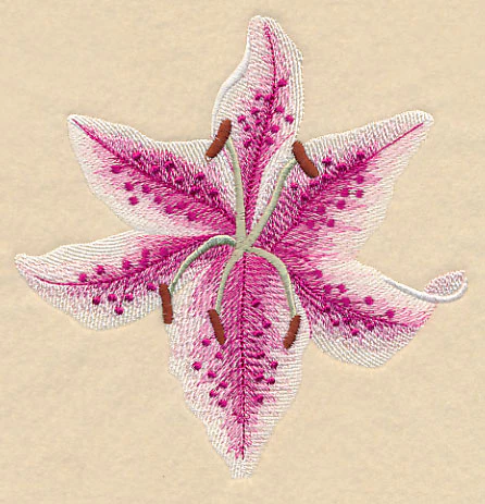 Heart of Lilies Single - Image 4