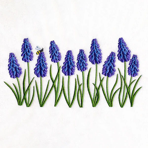 Heavenly Grape Hyacinth Border - Image 2