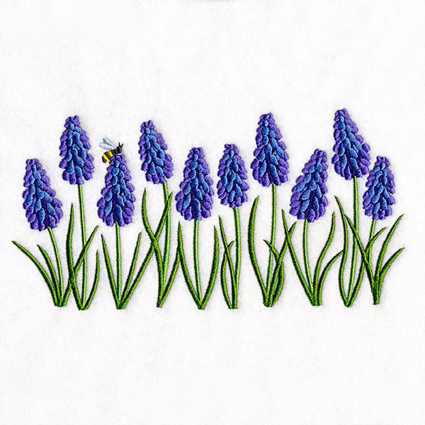 Heavenly Grape Hyacinth Border - Image 3