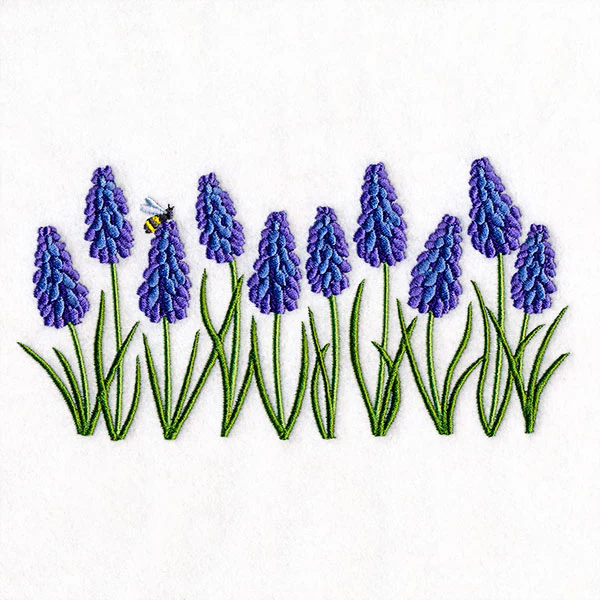 Heavenly Grape Hyacinth Border - Image 4