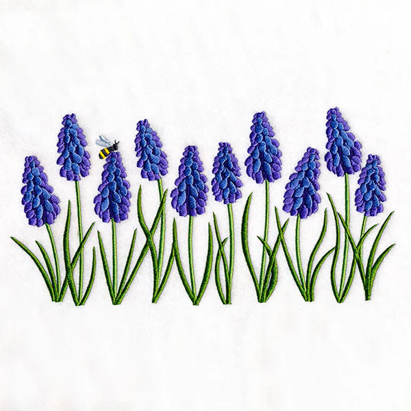Heavenly Grape Hyacinth Border - Image 5