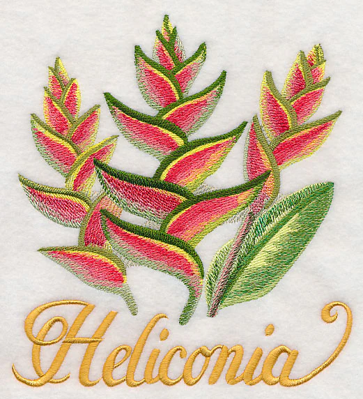 Heliconia in Watercolor