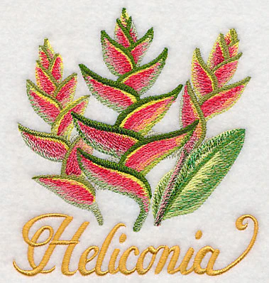 Heliconia in Watercolor - Image 3