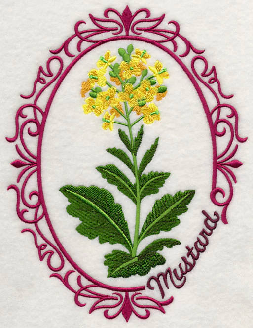Herb Cameo - Mustard - Image 4