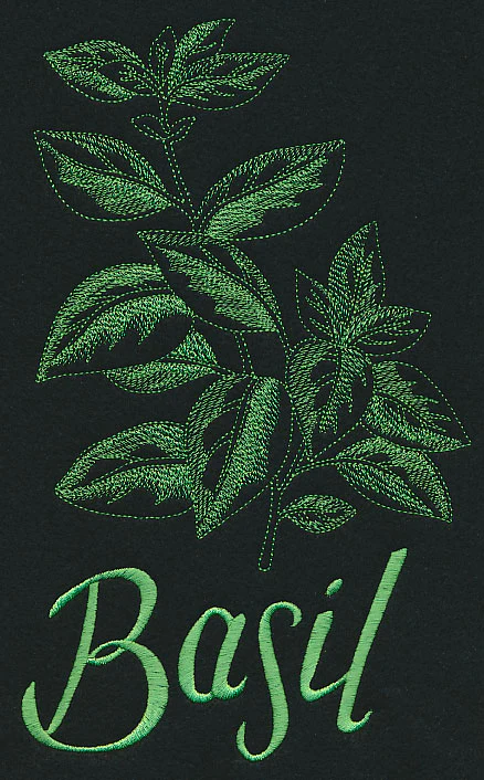Herb Sketch - Basil - Image 4