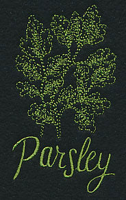 Herb Sketch - Parsley - Image 3