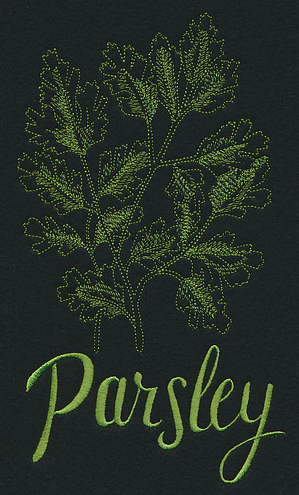 Herb Sketch - Parsley - Image 4