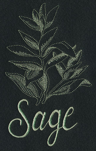 Herb Sketch - Sage - Image 2