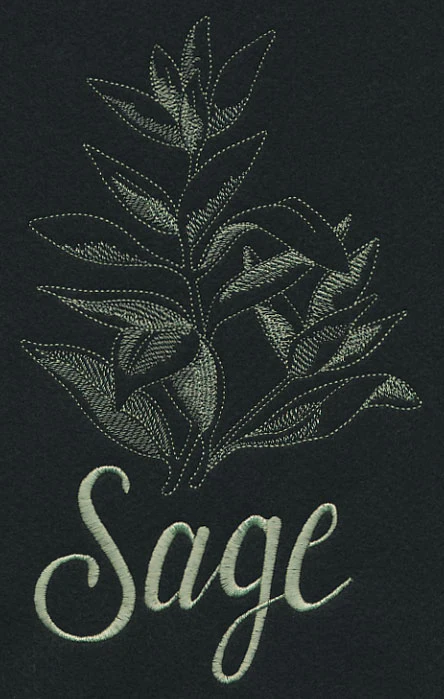 Herb Sketch - Sage - Image 4