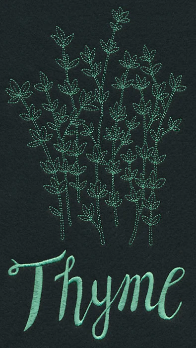 Herb Sketch - Thyme - Image 4