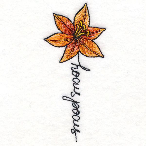Hocus Pocus Bloom Lily - Image 5