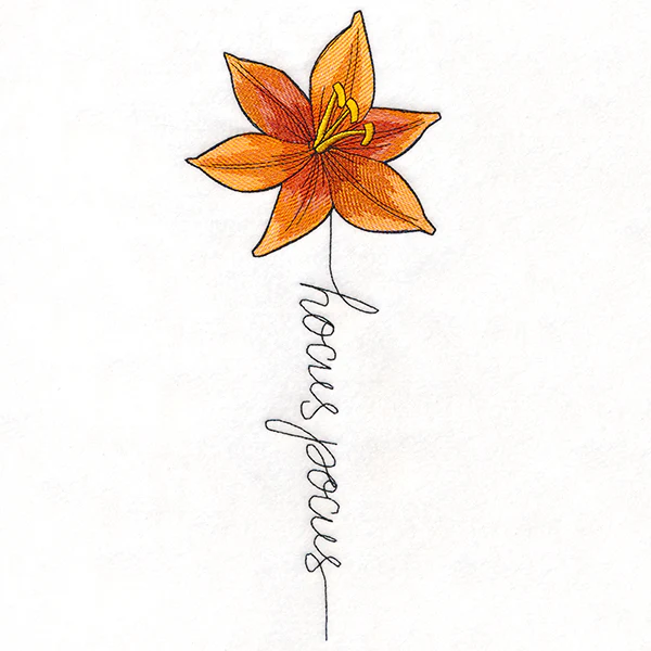 Hocus Pocus Bloom Lily - Image 6