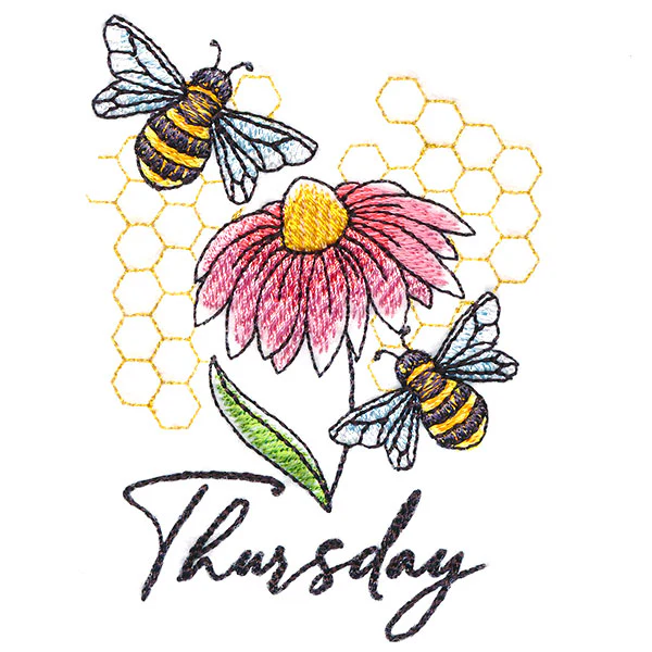 Honeybees & Echinacea On Thursday - Image 3