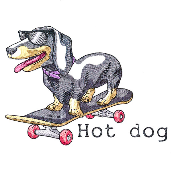 Hot Dog Dachshund - Image 7
