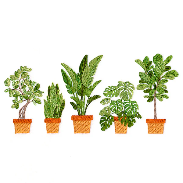 Houseplant Heaven Border - Image 2