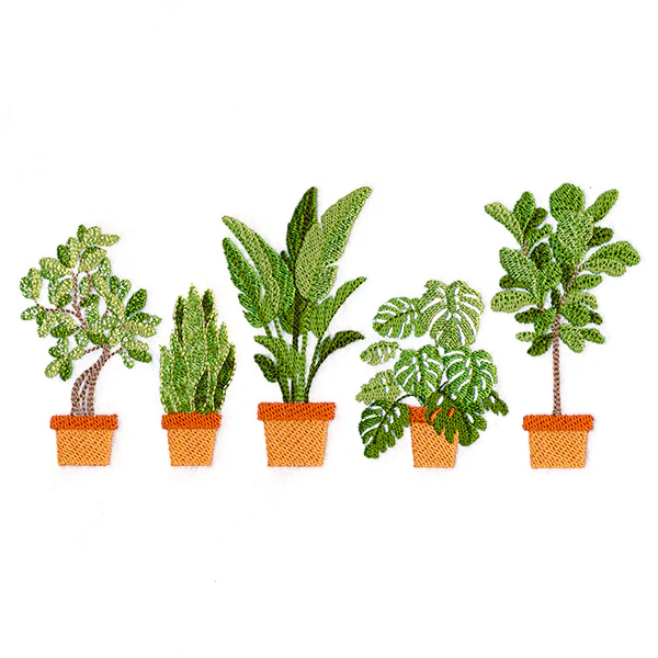 Houseplant Heaven Border - Image 3