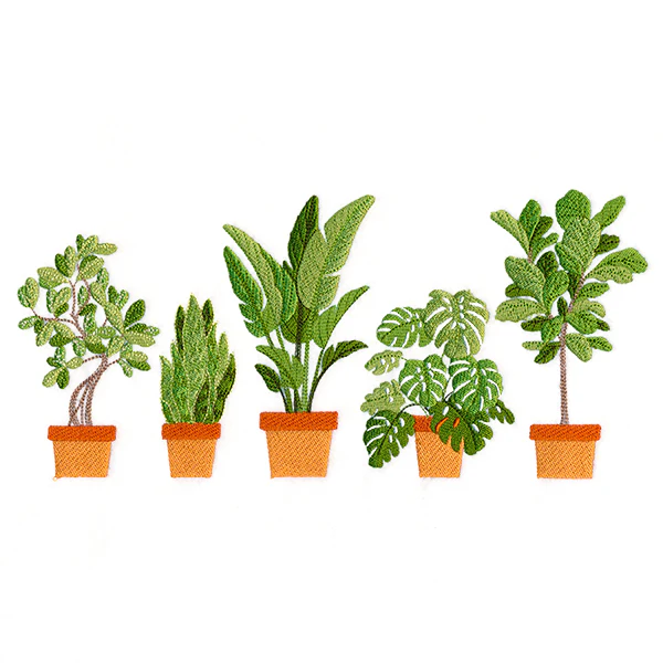 Houseplant Heaven Border - Image 5
