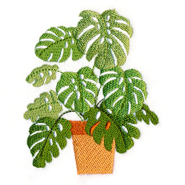 Houseplant Heaven - Monstera - Image 3