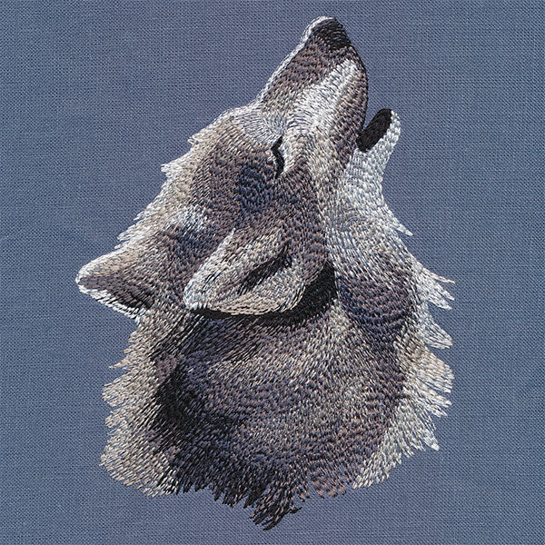 Howling Wolf Feature - Image 2
