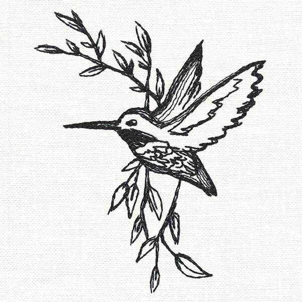 Hummingbird in Sketches - Image 4