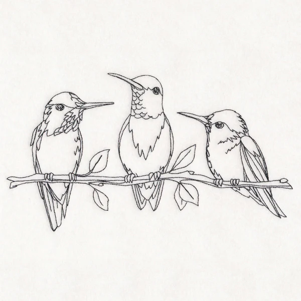 Hummingbird Social - Image 2