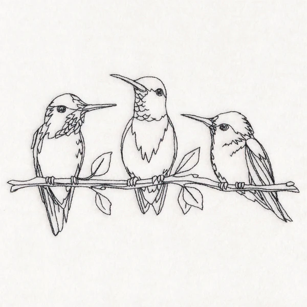 Hummingbird Social - Image 3
