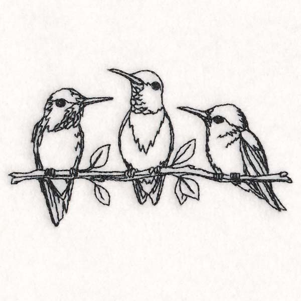 Hummingbird Social - Image 5