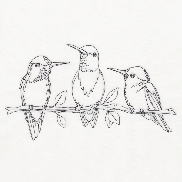 Hummingbird Social - Image 6