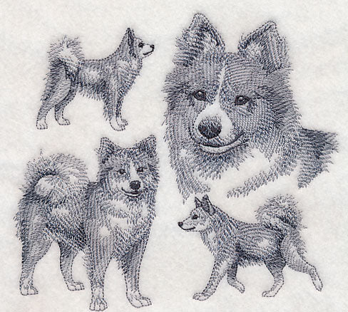 Icelandic Sheepdog Sketch - Image 2