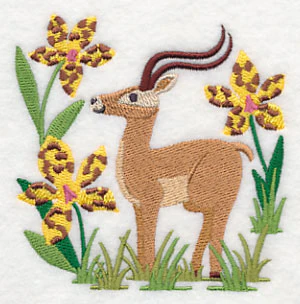 Impala and Tiger Orchid - Image 5