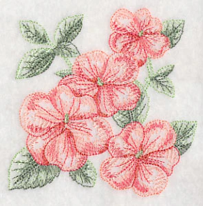Impatiens Sketch - Image 5