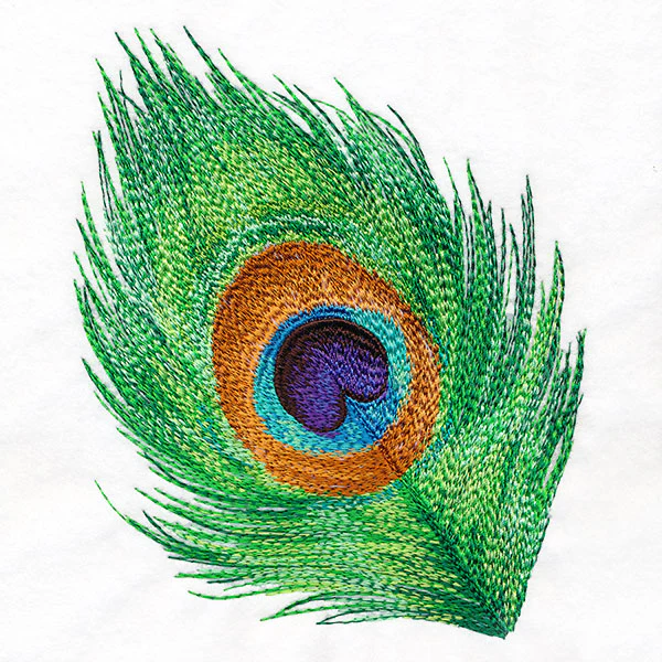 In the Eye of the Beholder Peacock Feather - Image 2