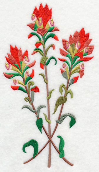 Indian Paintbrush 2 - Image 3