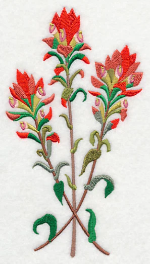 Indian Paintbrush 2 - Image 4