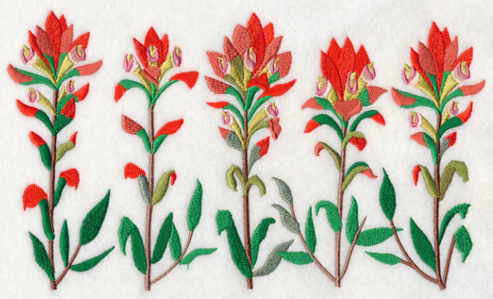Indian Paintbrush Border - Image 2
