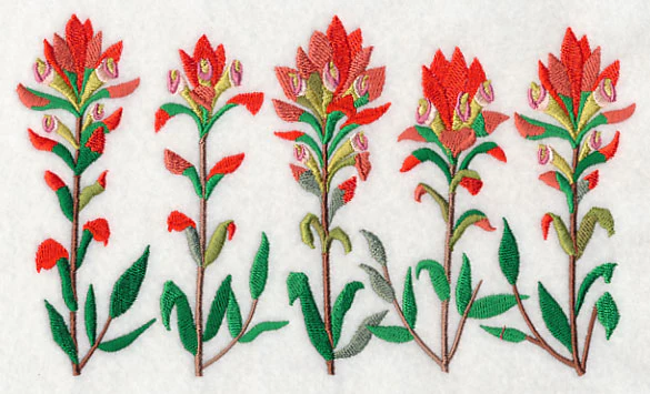 Indian Paintbrush Border - Image 3