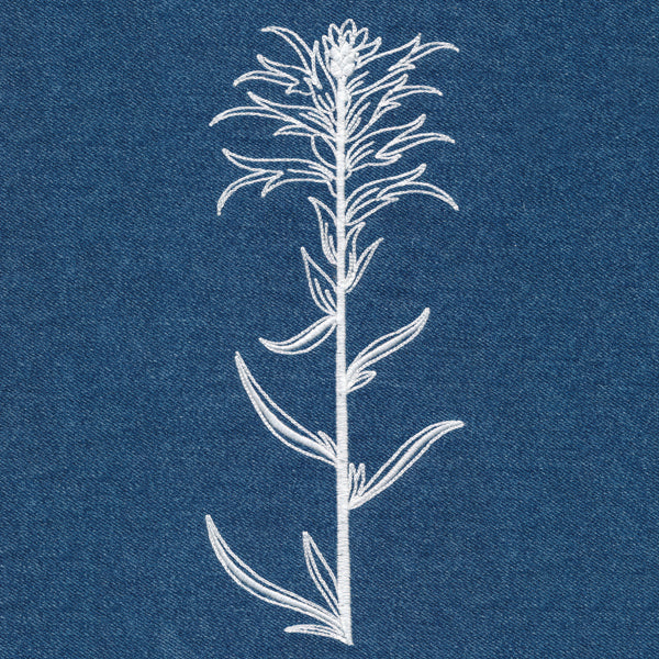 Indian Paintbrush (Whitework) - Image 2