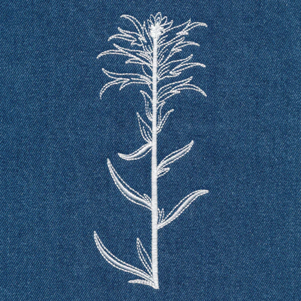 Indian Paintbrush (Whitework) - Image 4
