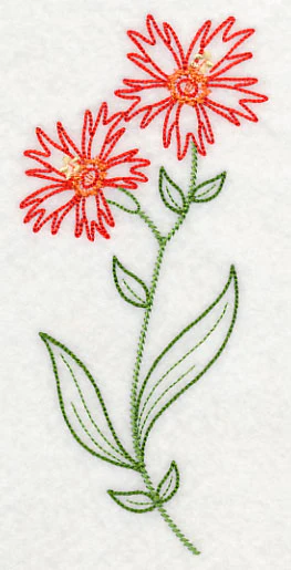 Indian Pink (Vintage) - Image 4