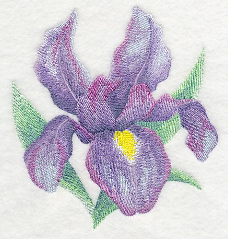 Iris Bloom in Watercolor - Image 4