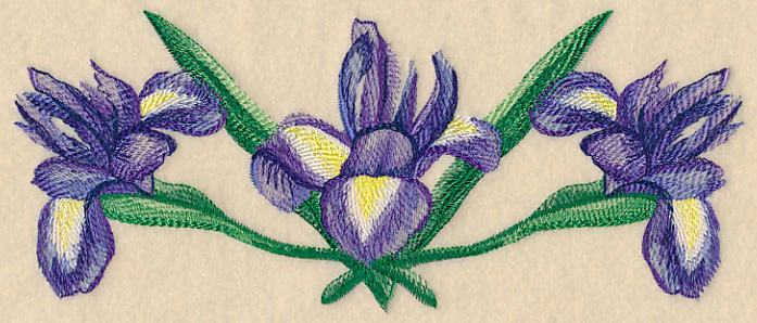 Iris Border in Watercolor - Image 2