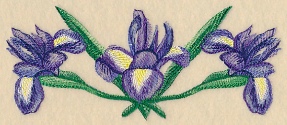 Iris Border in Watercolor - Image 3