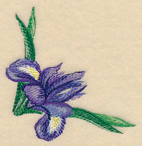 Iris Corner in Watercolor - Image 3